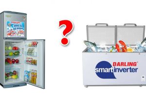 Nên mua tủ lạnh hay tủ đông để phù hợp nhất với bạn