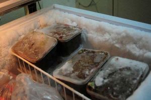 Nguyên nhân tủ đông bị đóng tuyết và cách xử lý.