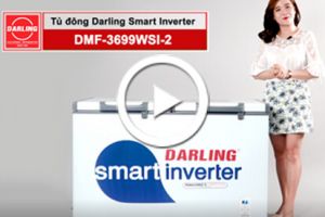 Tủ đông mát 2 ngăn Darling DMF 3699WSI-2