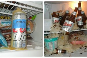 Những điều cấm kỵ khi sử dụng tủ lạnh nếu không muốn tủ lạnh nhanh hỏng